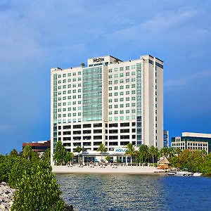 Hotel The Westin Tampa Bay